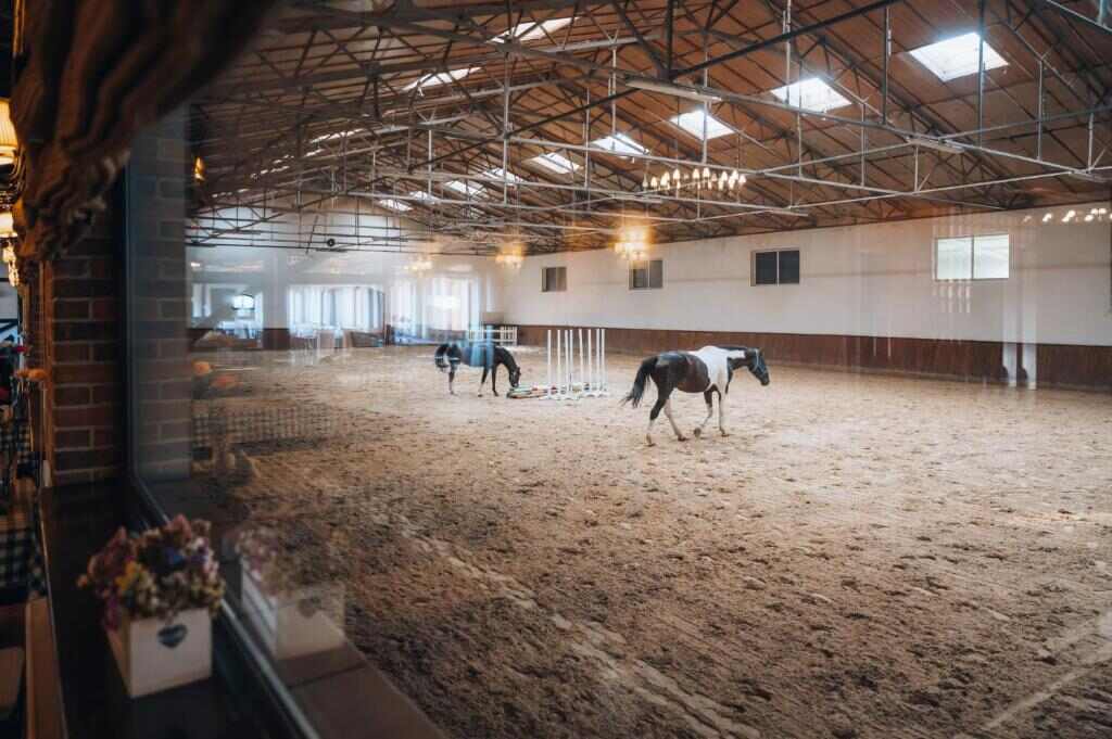Horses in the indoor riding hall at Hotel Trzy Podkowy
